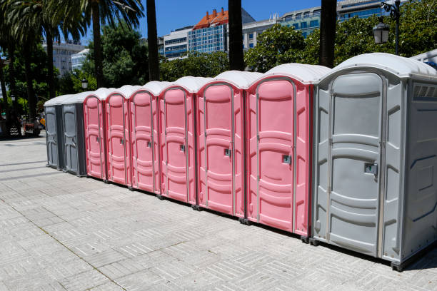 Best Portable Toilets for Disaster Relief Sites  in Rodney Village, DE